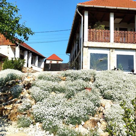Tokaj Hill Panorama Guesthouse زيرينس المظهر الخارجي الصورة