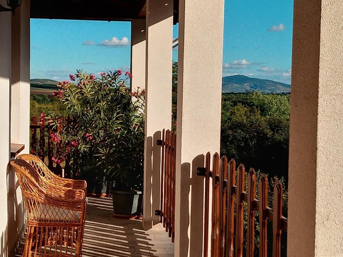 Tokaj Hill Panorama Guesthouse زيرينس المظهر الخارجي الصورة
