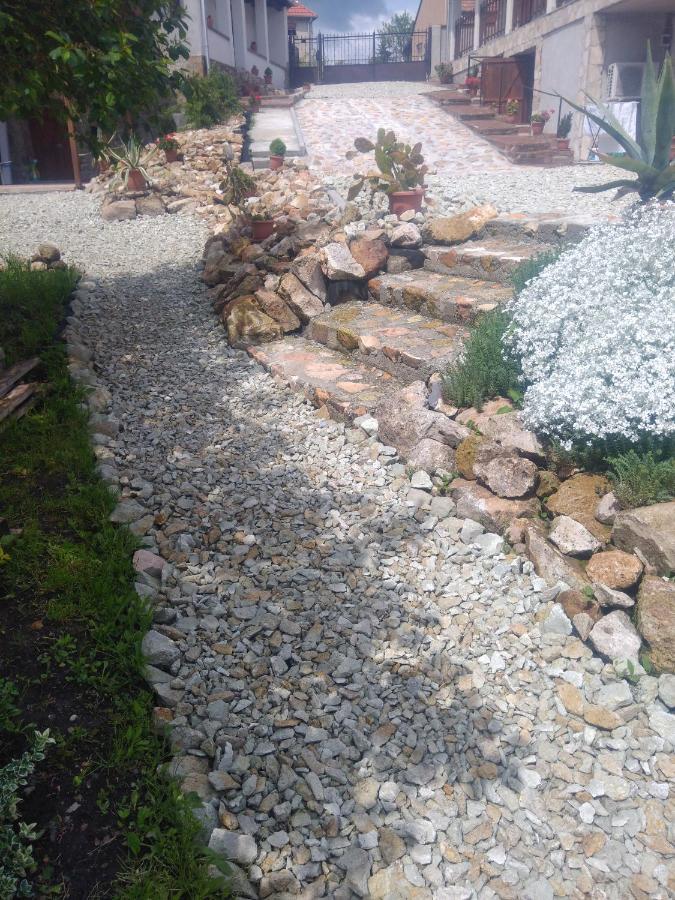 Tokaj Hill Panorama Guesthouse زيرينس المظهر الخارجي الصورة