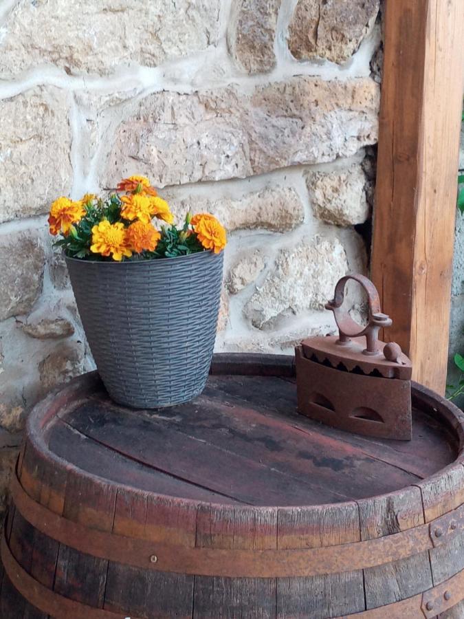Tokaj Hill Panorama Guesthouse زيرينس المظهر الخارجي الصورة