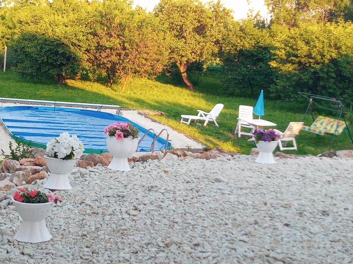 Tokaj Hill Panorama Guesthouse زيرينس المظهر الخارجي الصورة