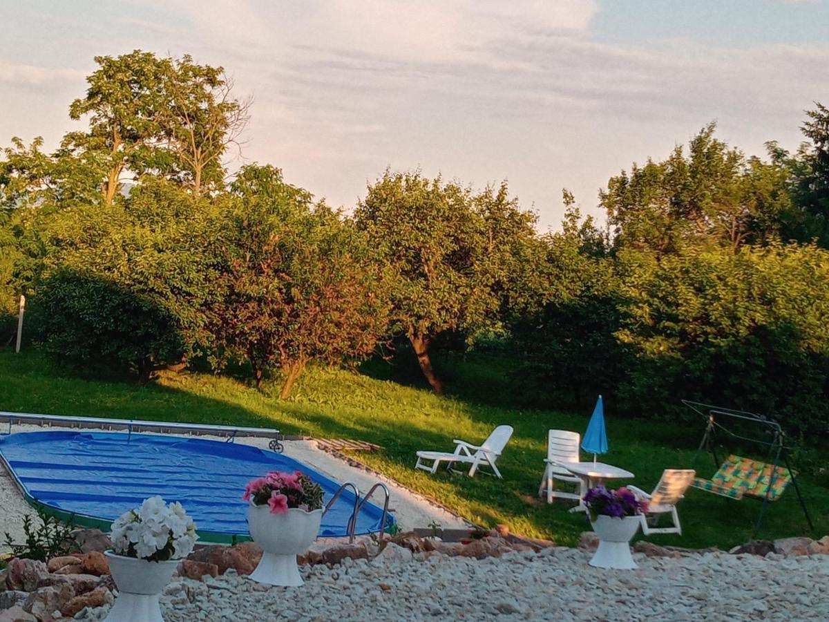 Tokaj Hill Panorama Guesthouse زيرينس المظهر الخارجي الصورة