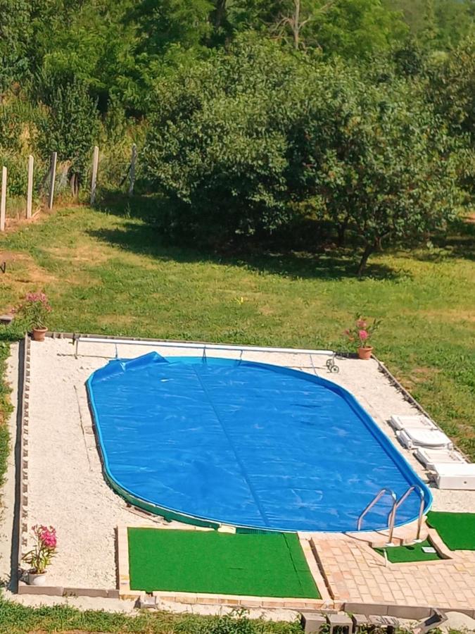 Tokaj Hill Panorama Guesthouse زيرينس المظهر الخارجي الصورة