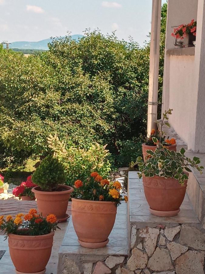 Tokaj Hill Panorama Guesthouse زيرينس المظهر الخارجي الصورة