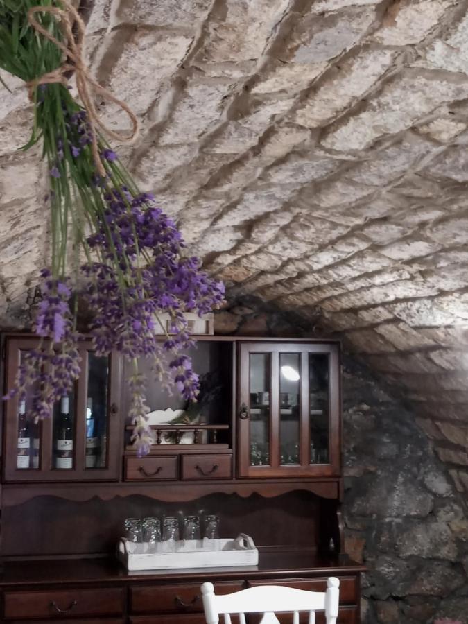 Tokaj Hill Panorama Guesthouse زيرينس المظهر الخارجي الصورة