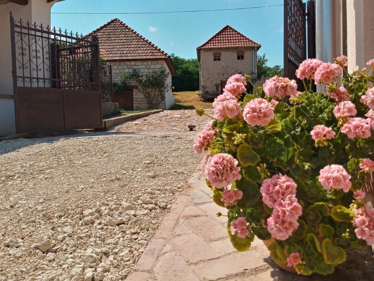 Tokaj Hill Panorama Guesthouse زيرينس المظهر الخارجي الصورة