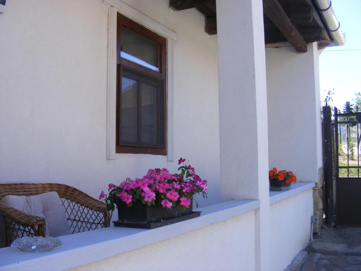Tokaj Hill Panorama Guesthouse زيرينس المظهر الخارجي الصورة