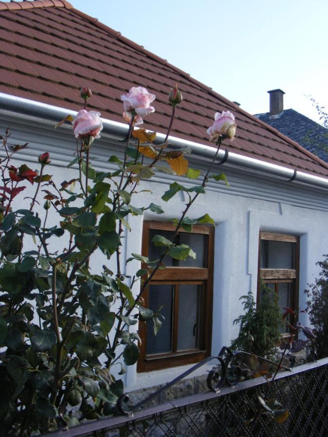 Tokaj Hill Panorama Guesthouse زيرينس المظهر الخارجي الصورة