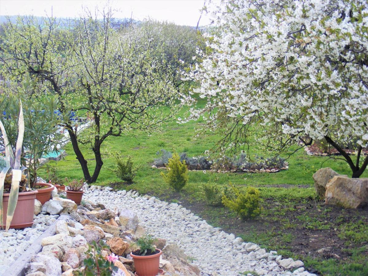 Tokaj Hill Panorama Guesthouse زيرينس المظهر الخارجي الصورة