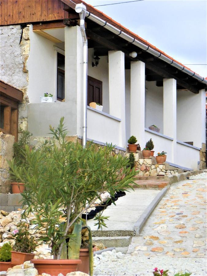 Tokaj Hill Panorama Guesthouse زيرينس المظهر الخارجي الصورة