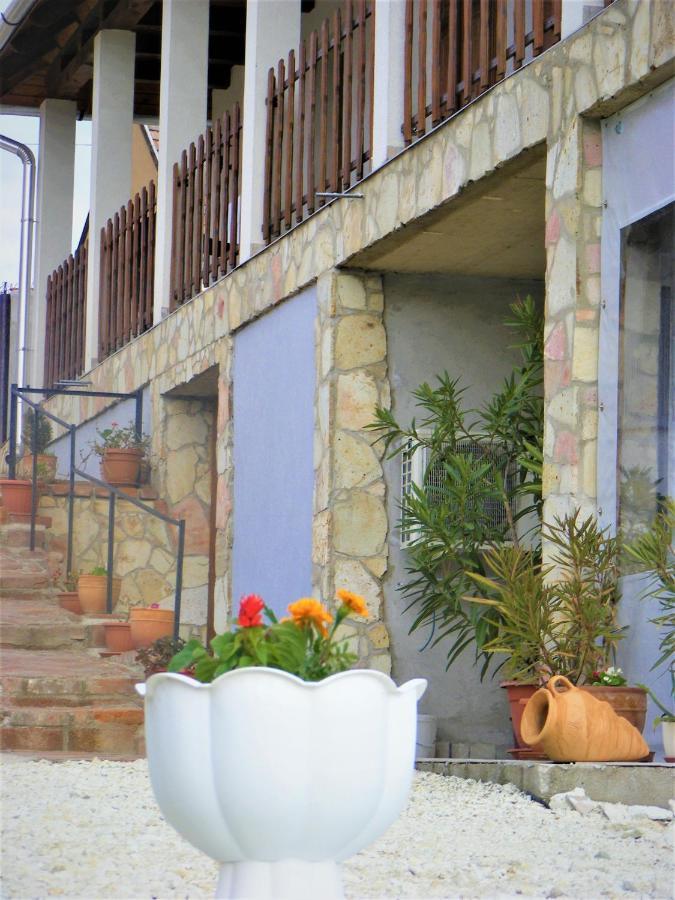 Tokaj Hill Panorama Guesthouse زيرينس المظهر الخارجي الصورة