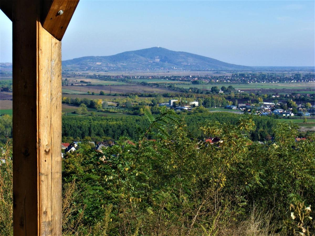 Tokaj Hill Panorama Guesthouse زيرينس المظهر الخارجي الصورة